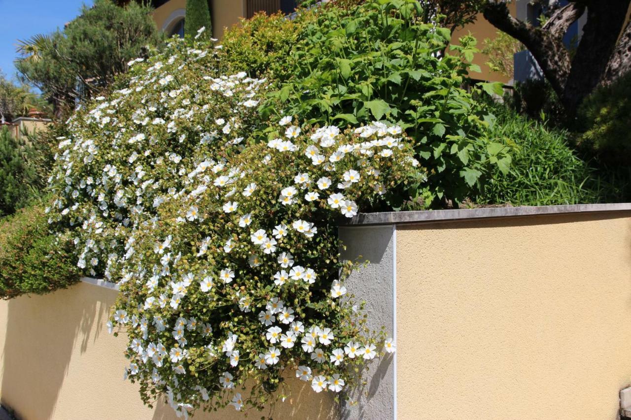 Le Vallon De Saint Andre Limonest Zewnętrze zdjęcie