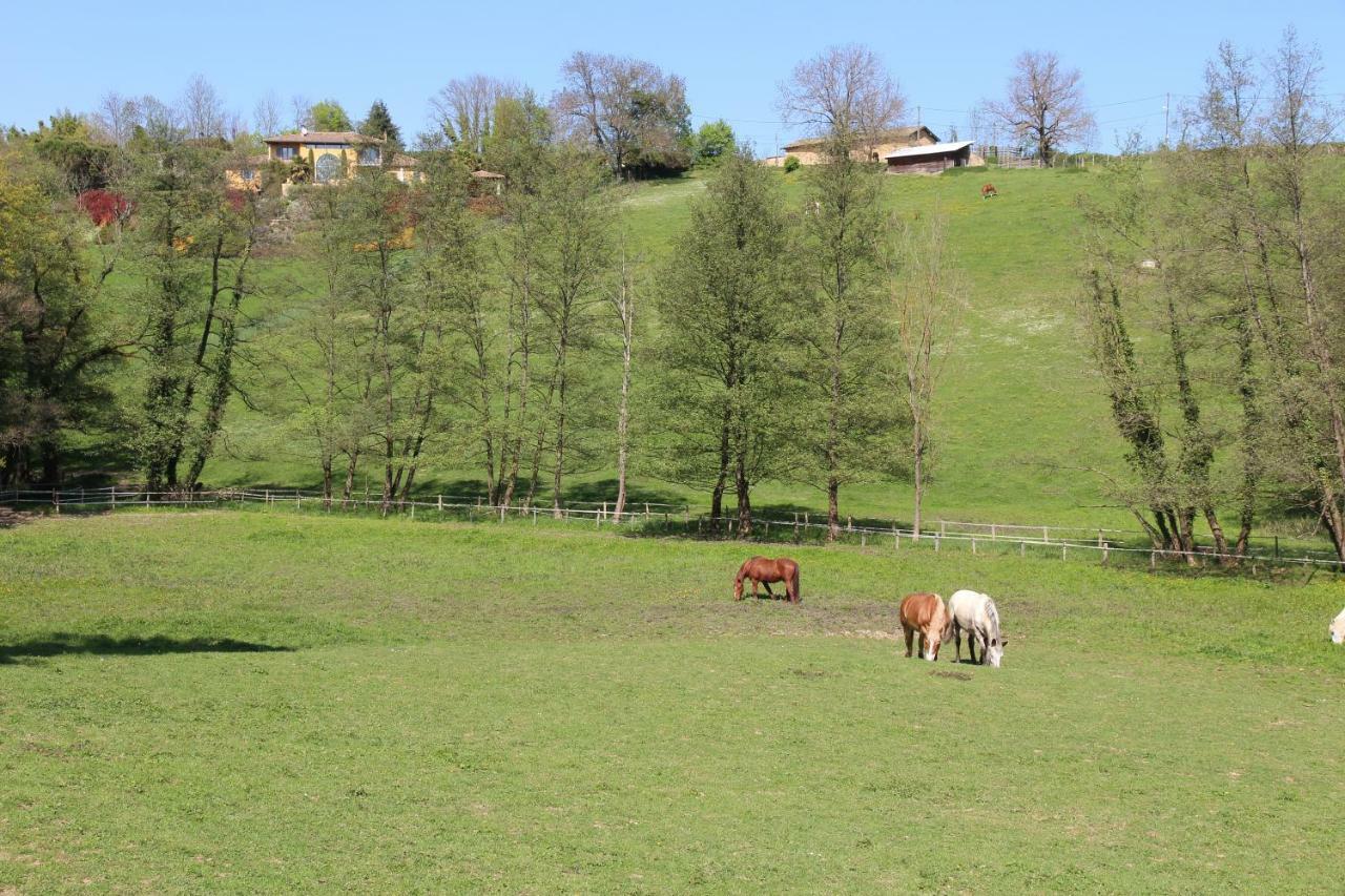 Le Vallon De Saint Andre Limonest Zewnętrze zdjęcie